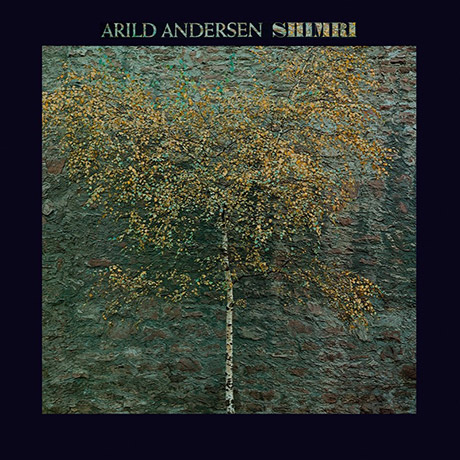 Arild Andersen