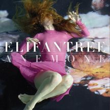Elifantree
